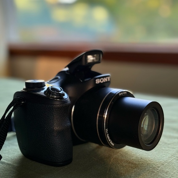 Sony Cyber-Shot DSC-H300 - Picture 5 of 7